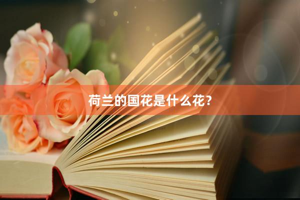 荷兰的国花是什么花？